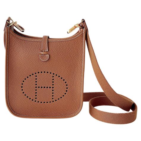 hermes evelyne mini men